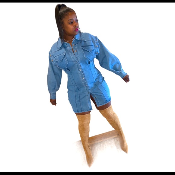 Danni Denim Dress - Picture 1 of 5